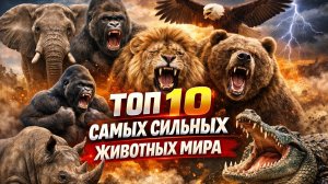 Топ 10 Самых Сильных ЖИВОТНЫХ