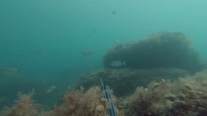 Камень, который дышит / Подводная охота