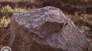 Норильск (1975)