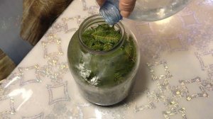 Хвойный квас   на сметане, авторы Болотов - Наумов.