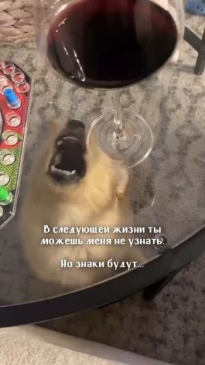 С пятницей!!!