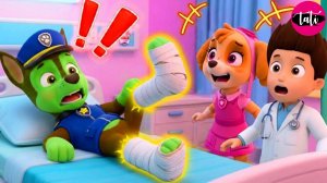 Щенячий патруль и Маршалл. Залипательное видео. Мультфильм для детей и малышей. Анимация 264