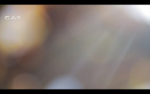 LIVE: C.A.Y. Records Digital Record Label