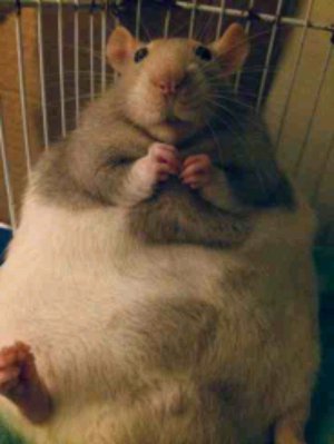 заснули и проснулись