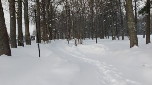 Новый Посёлок. Обзор. MichelleXGame.