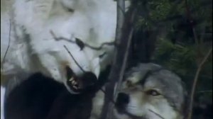 Поле битвы.