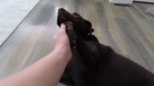 ОБУСТРАИВАЕМ ДОМ 🏠 Распаковка SEPHORA и наши витамины  (Happy Family in CANADA)