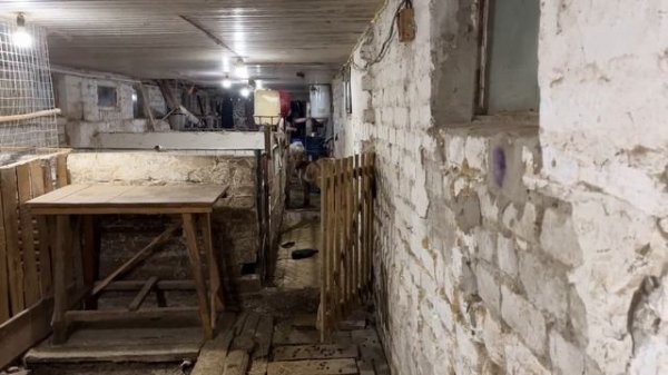 Саня Новиков/Продажи продолжаются. Попробую делать так.