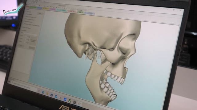 Височно-нижнечелюстной сустав. Строение ВНЧС