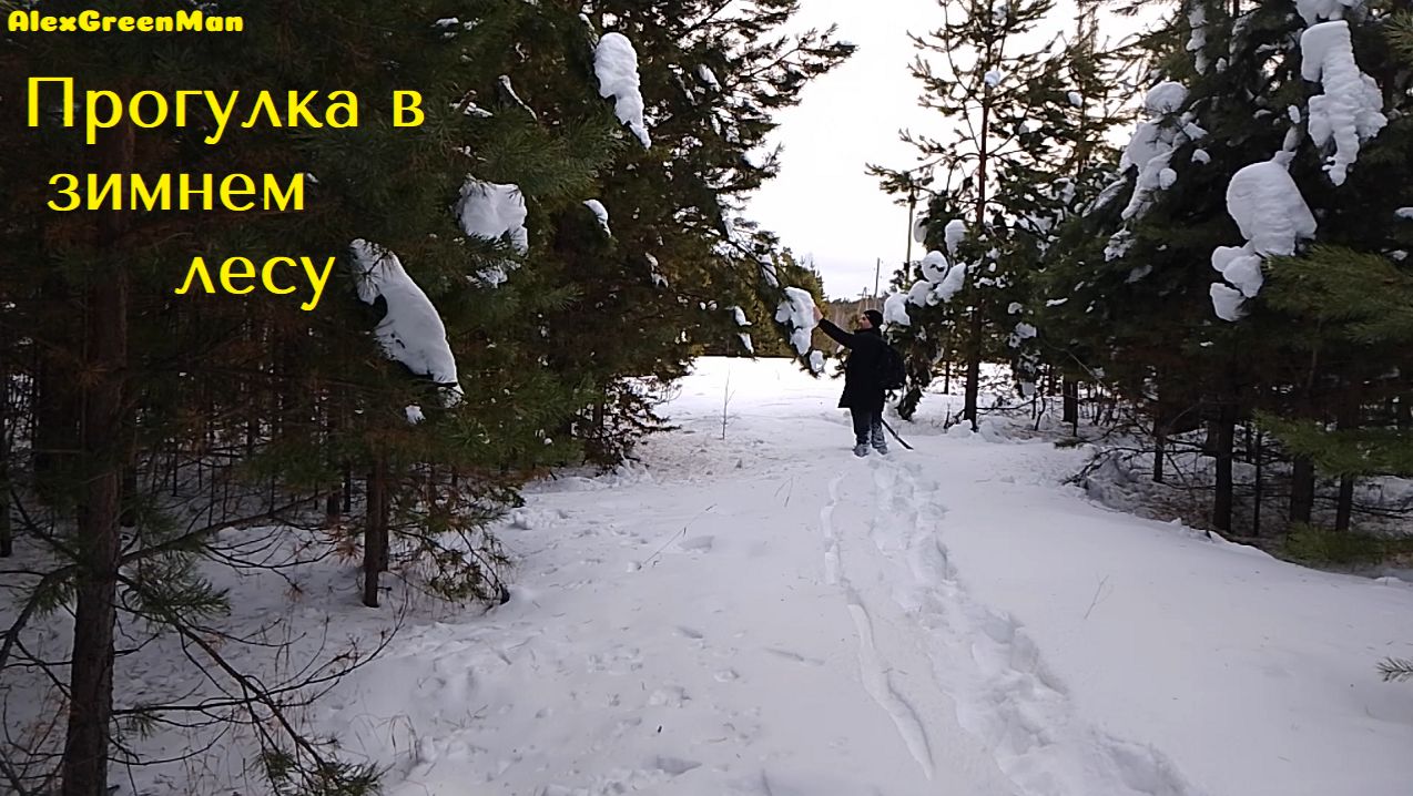 Прогулка в зимнем лесу