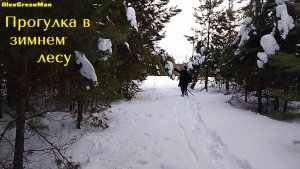 Прогулка в зимнем лесу