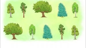 ӘМИНӘ - Агачлар