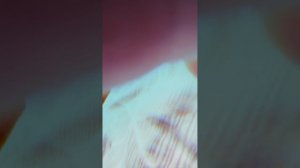 Трагедия у цыпленка. Часть 1. Приключение маленького пушистого цыпленка.