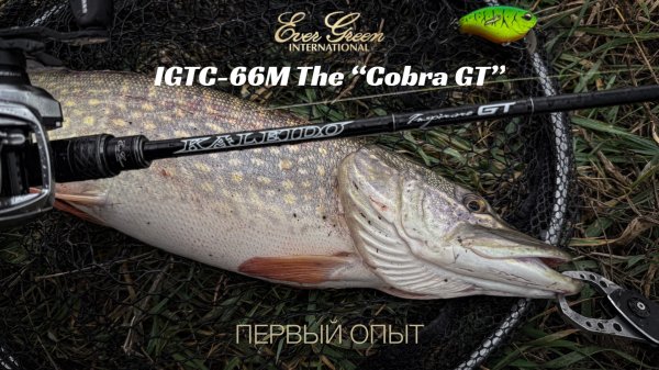 Evergreen Kaleido IGTC-66M The “Cobra GT”. Первый опыт. Зимняя щука на воблеры.