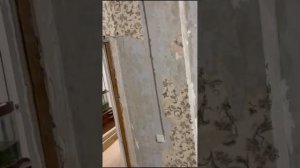 Частичная замена электропроводки
 в комнате 16 кв/м, 
электропроводка открытая чистовая.