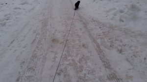 Все надо обойти на улице.