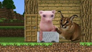 Шлëпа в Minecraft