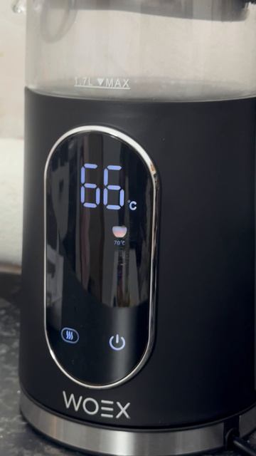 Чайник WOEX с термоподом