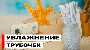 Увлажнение бумажной лозы: Вода, Лак или Кондиционер?