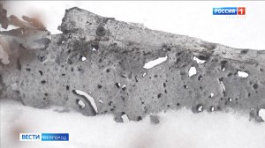 Спустя неделю после обстрела во дворе белгородской многоэтажки продолжают собирать обломки ракет