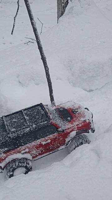 В заснеженном лесу едем на RC моделях) #rc #rccar #crawler #4x4rc #scale #rclife #rcmodel #rcfun