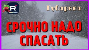Губарева _Срочно надо спасать _Обзор _Наталья Губарева _Алиса Неземная _Одна в деревне _из города