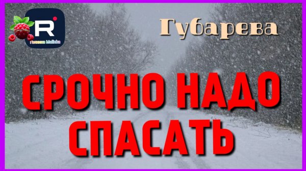 Губарева _Срочно надо спасать _Обзор _Наталья Губарева _Алиса Неземная _Одна в деревне _из города