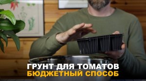 РАССАДУ БОЛЬШЕ НЕ ПОДКАРМЛИВАЮ. Самый лучший грунт для рассады томатов.