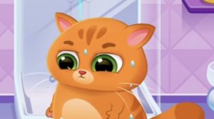 КОТЁНОК БУБУ И МИМИ