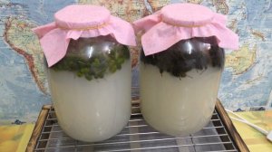 Тестостерон - ольховый  фермент (квас)  по классическому рецепту Болотова Б. В. из шишек  ольхи.