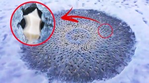 7 Мистических Явлений в Озёрах Снятые на Камеру