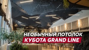 Потолок как искусство / Подвесной потолок Кубота Grand Line