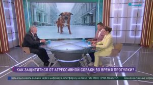 Стоять, бежать или кричать? Как защититься от нападения агрессивной собаки