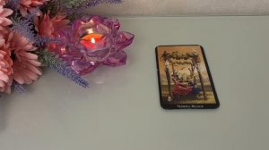 Отношения на расстоянии 💐Перспективы 🍓✨🥰Расклад по вариантам