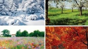 Природа зовет: открой тайны каждого сезона!