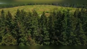 DeePeopleRadio -  My Angels ( Original Logic - ALIMPIY & ALEXANDR YANCHEVSKIY)