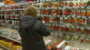 (Рыбинск-40) КАК ВЫБРАТЬ СЕМЕНА?