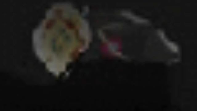 z смотреть онлайн