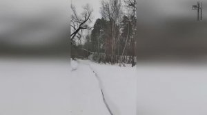 ВЕРА В ДЕЙСТВИИ / МОЛИТВА ЗА ИСЦЕЛЕНИЯ В ЛЕСУ 🙏