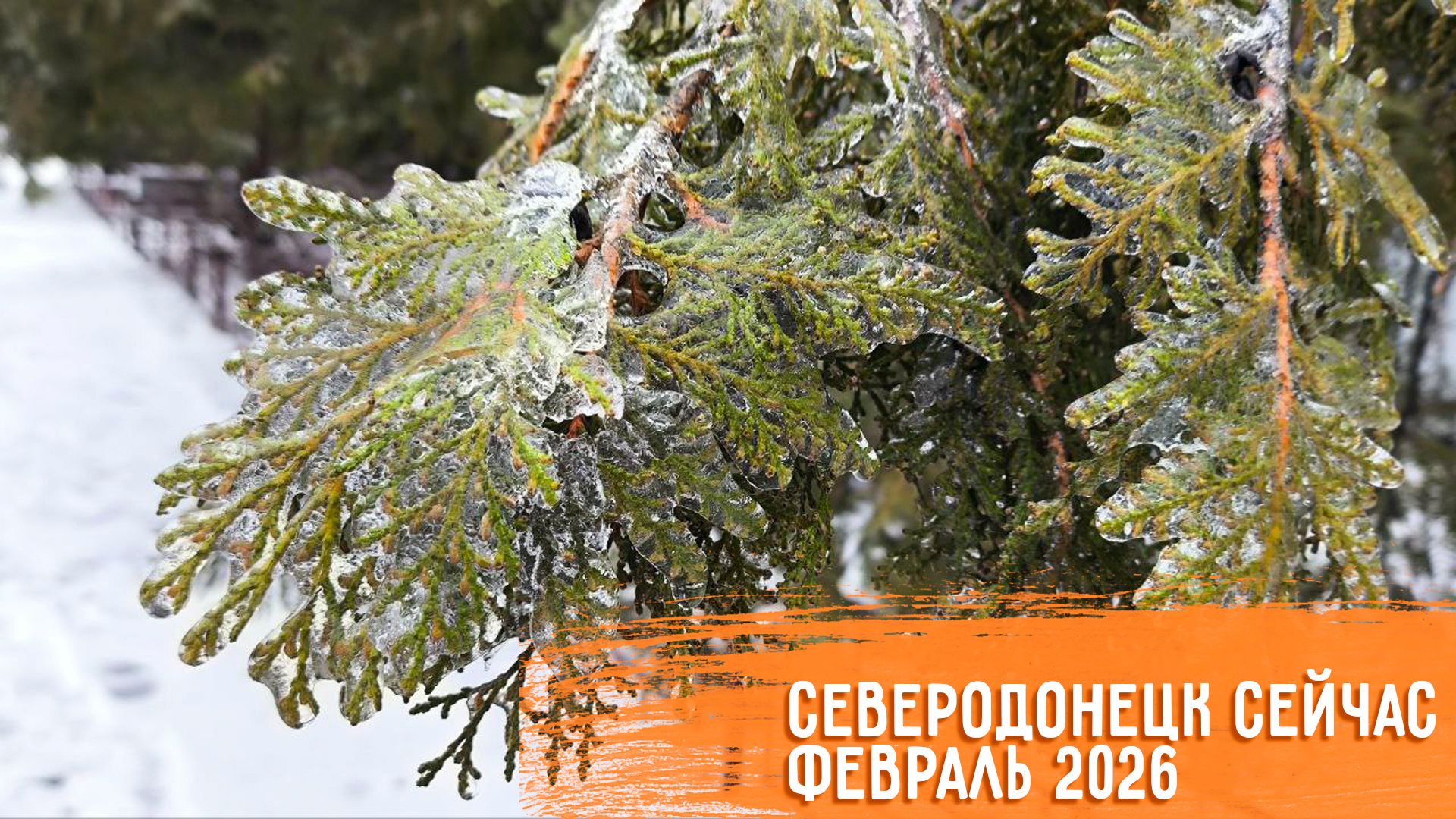 СЕВЕРОДОНЕЦК СЕЙЧАС 2026