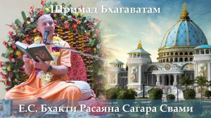 20.02.2026 || Шримад Бхагаватам 11.6.11 || Е.С. Бхакти Расаяна Сагара Свами