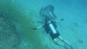 Волшебство подводного мира