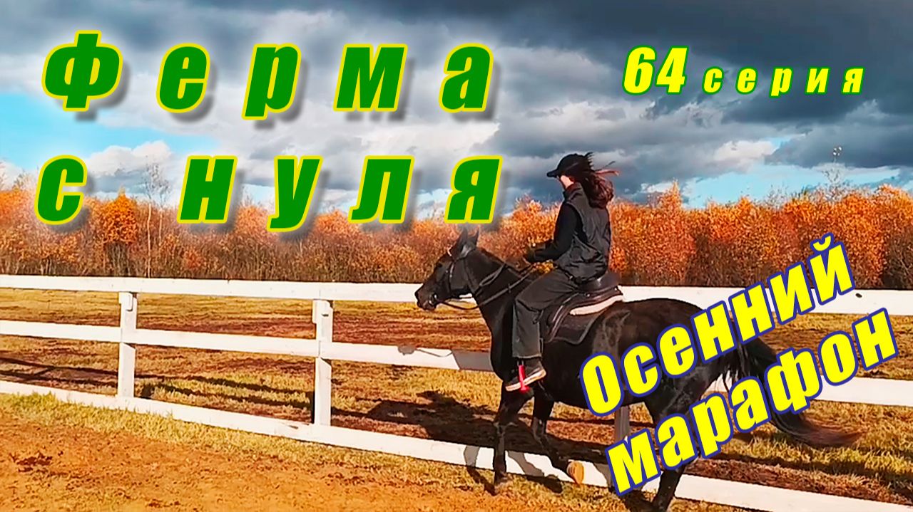 Знакомимся с новыми лошадьми. Запасаемся сеном. Активно занимаемся на плацу. Ферма с нуля серия 64