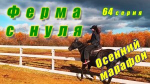 Знакомимся с новыми лошадьми. Запасаемся сеном. Активно занимаемся на плацу. Ферма с нуля серия 64