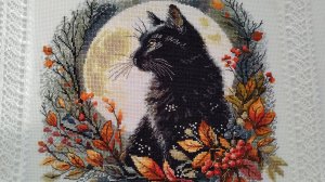 Лунный котик,от а до я.