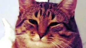 Играю в маен в дуэли пати кидаю