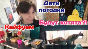 Подглядываю за соседями,наш участок/Праздник живота/Готовлю и возмущаюсь (февраль) Часть 1