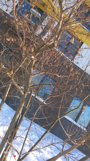 урааа ❤️,каникулы , внизу мой ТГ канал 👇