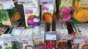 Рубрика "Обзор из магазина"