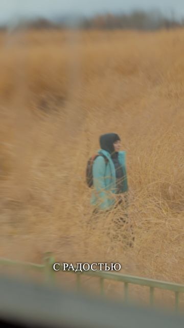 Паломница. Воспоминания о крестном ходе на краю земли смотреть онлайн